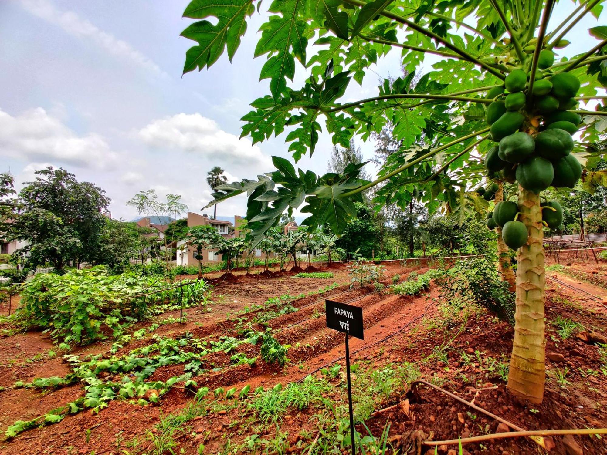 Pushpam Sanskruti Resort Karjat - A Pure Veg Resort Dhamni Екстериор снимка