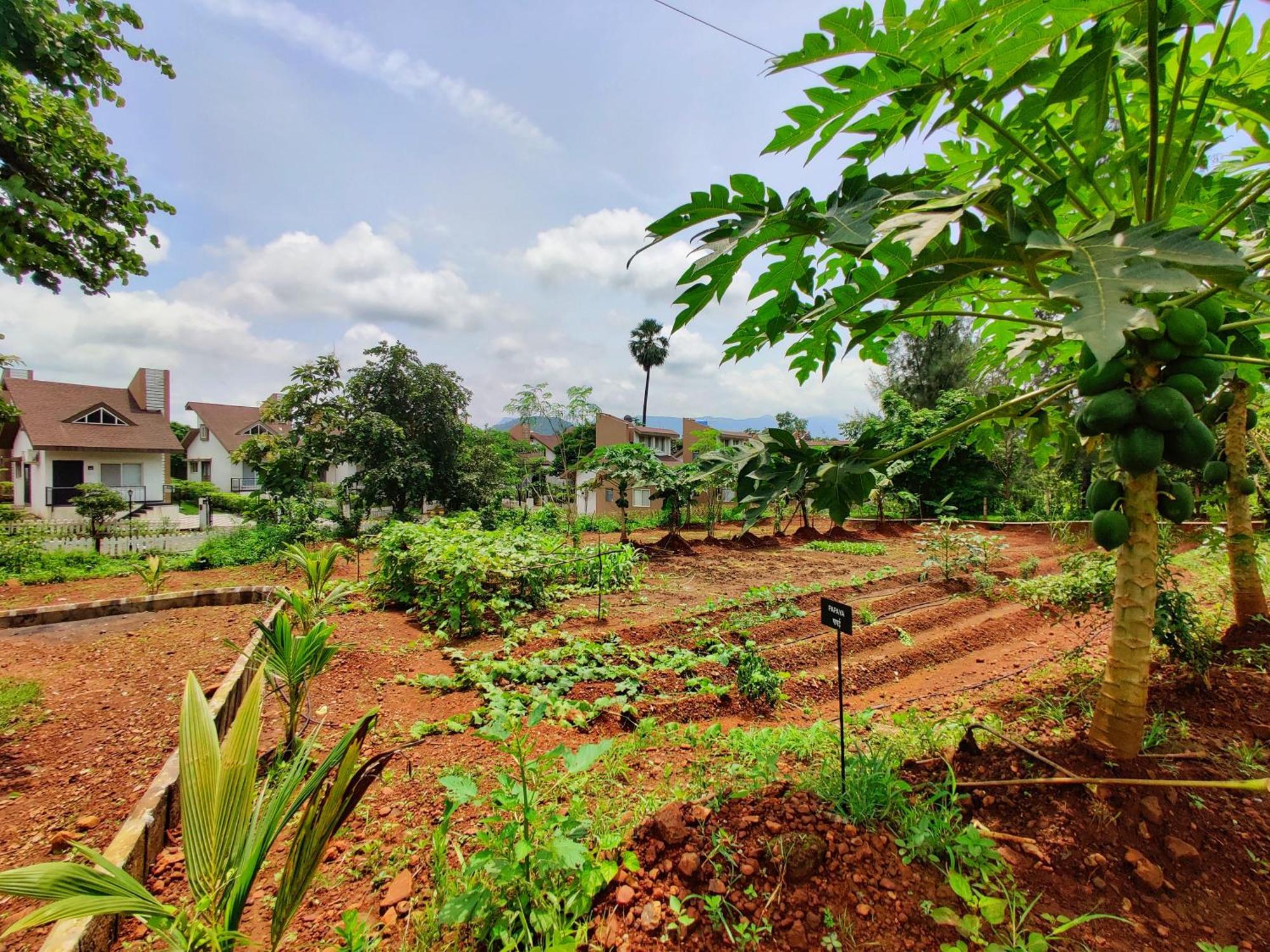 Pushpam Sanskruti Resort Karjat - A Pure Veg Resort Dhamni Екстериор снимка